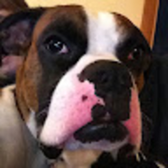 Meet your Posher, Kat - Picture 1 of 1